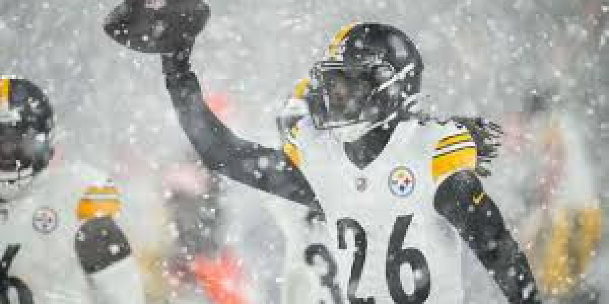 Steelers Shed 23-Calendar year-Outdated Probability Months